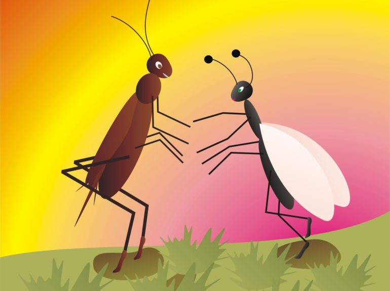 Krekel en de mier